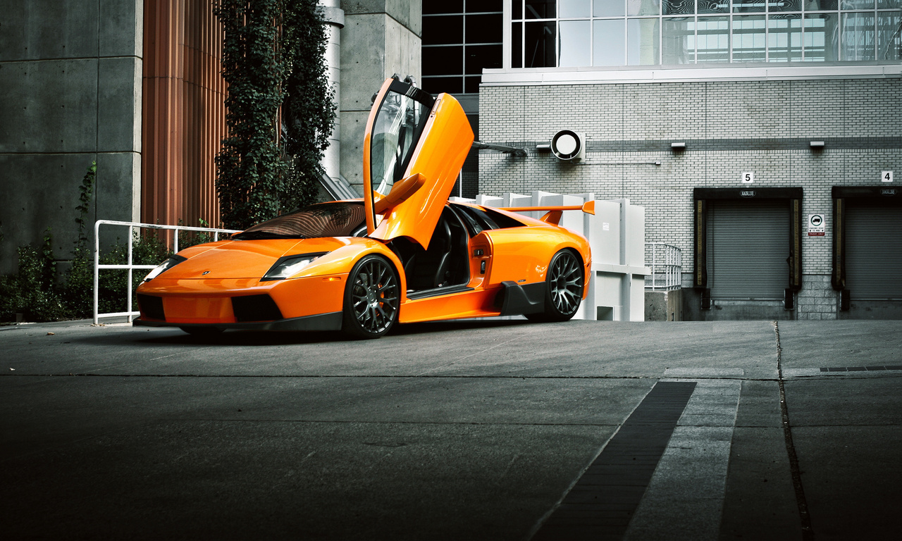 , front, , murcielago, orange, Lamborghini