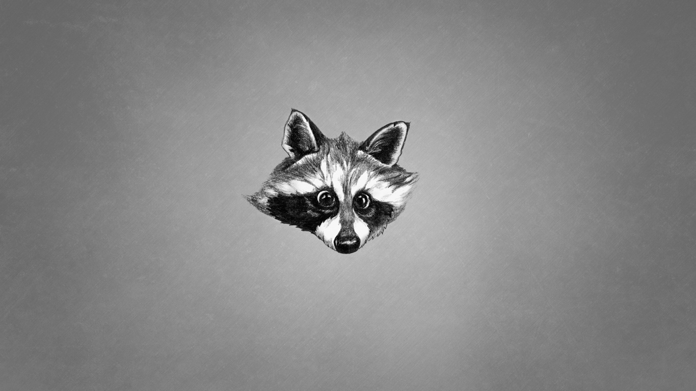 , , , raccoon, -, 