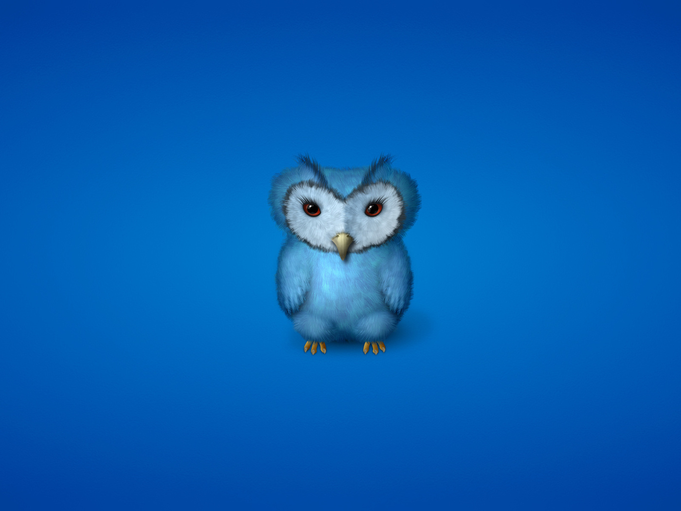 ,  , owl, , , 