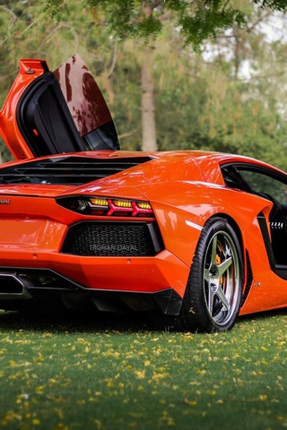 , orange, Lamborghini, lp700-4, , aventador