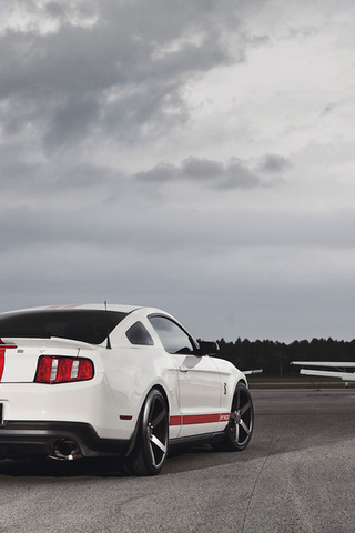 gt500, , Ford, ,  , , mustang, shelby, muscle car