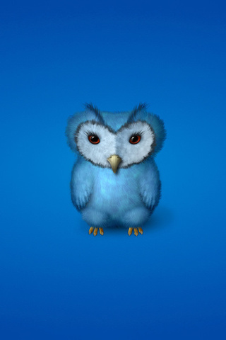 ,  , owl, , , 