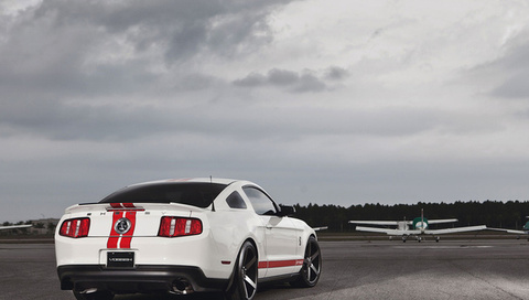 gt500, , Ford, ,  , , mustang, shelby, muscle car