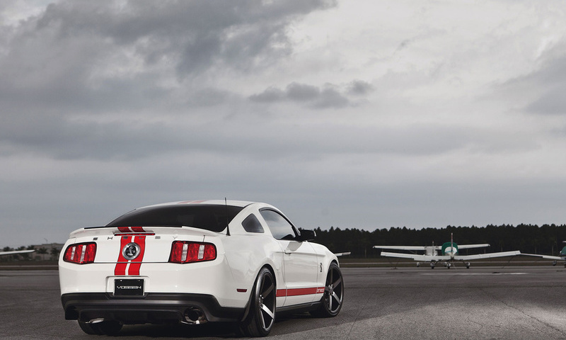 gt500, , Ford, ,  , , mustang, shelby, muscle car