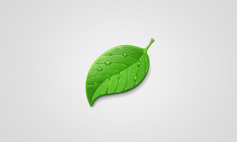 , green, leaf,  , , , 