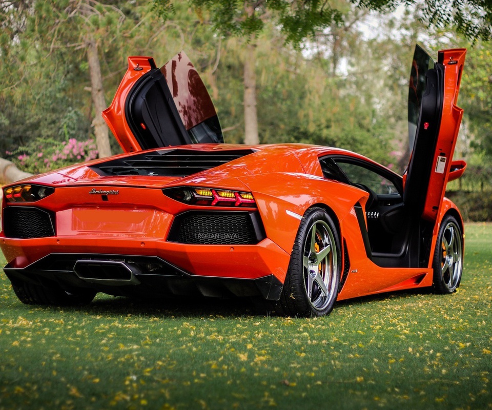 , orange, Lamborghini, lp700-4, , aventador