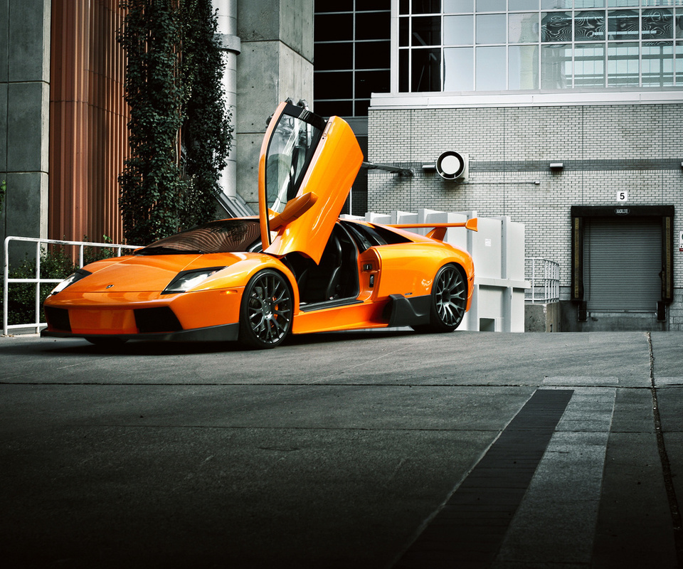 , front, , murcielago, orange, Lamborghini