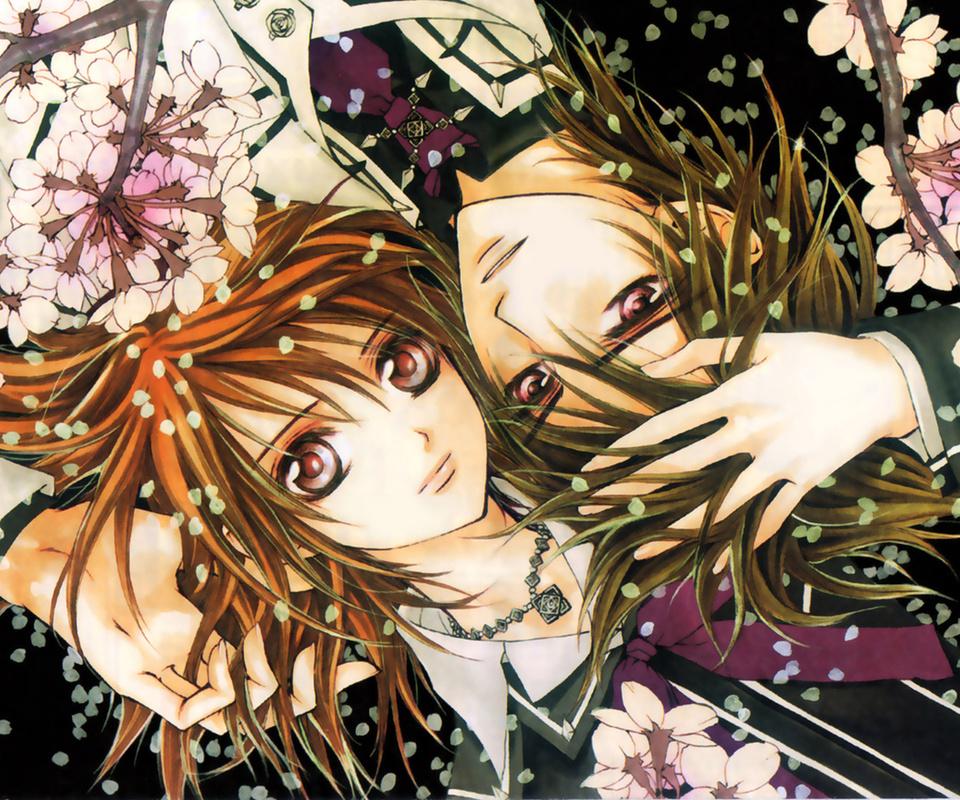 , -, , Vampire-knight