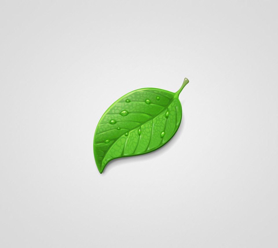 , green, leaf,  , , , 