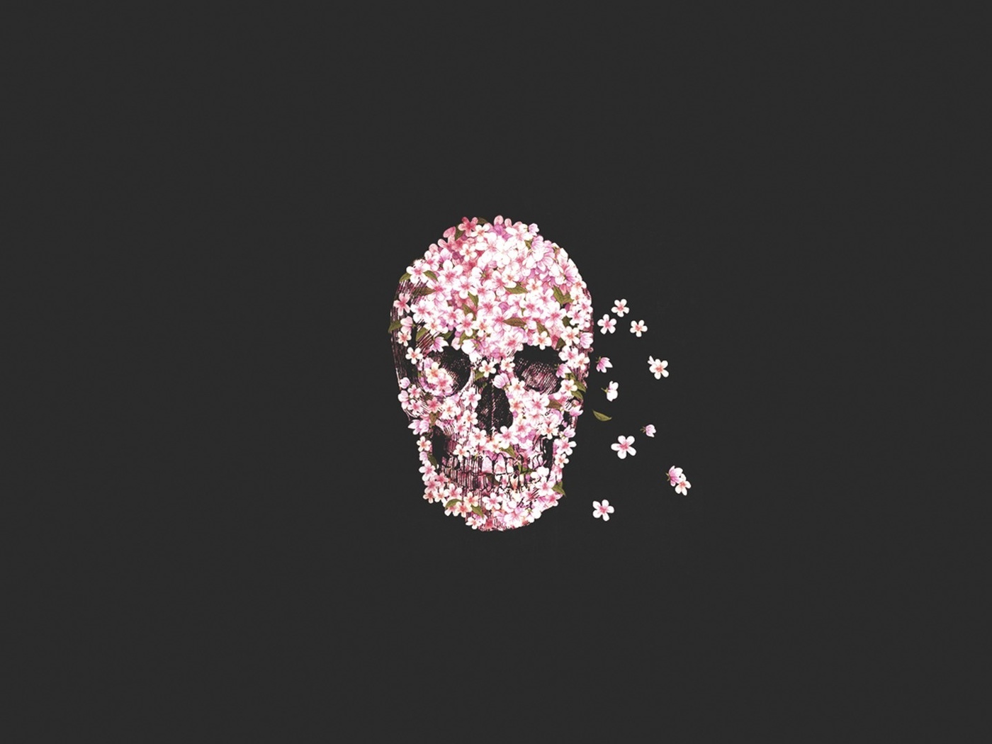 , flower, Skull, 