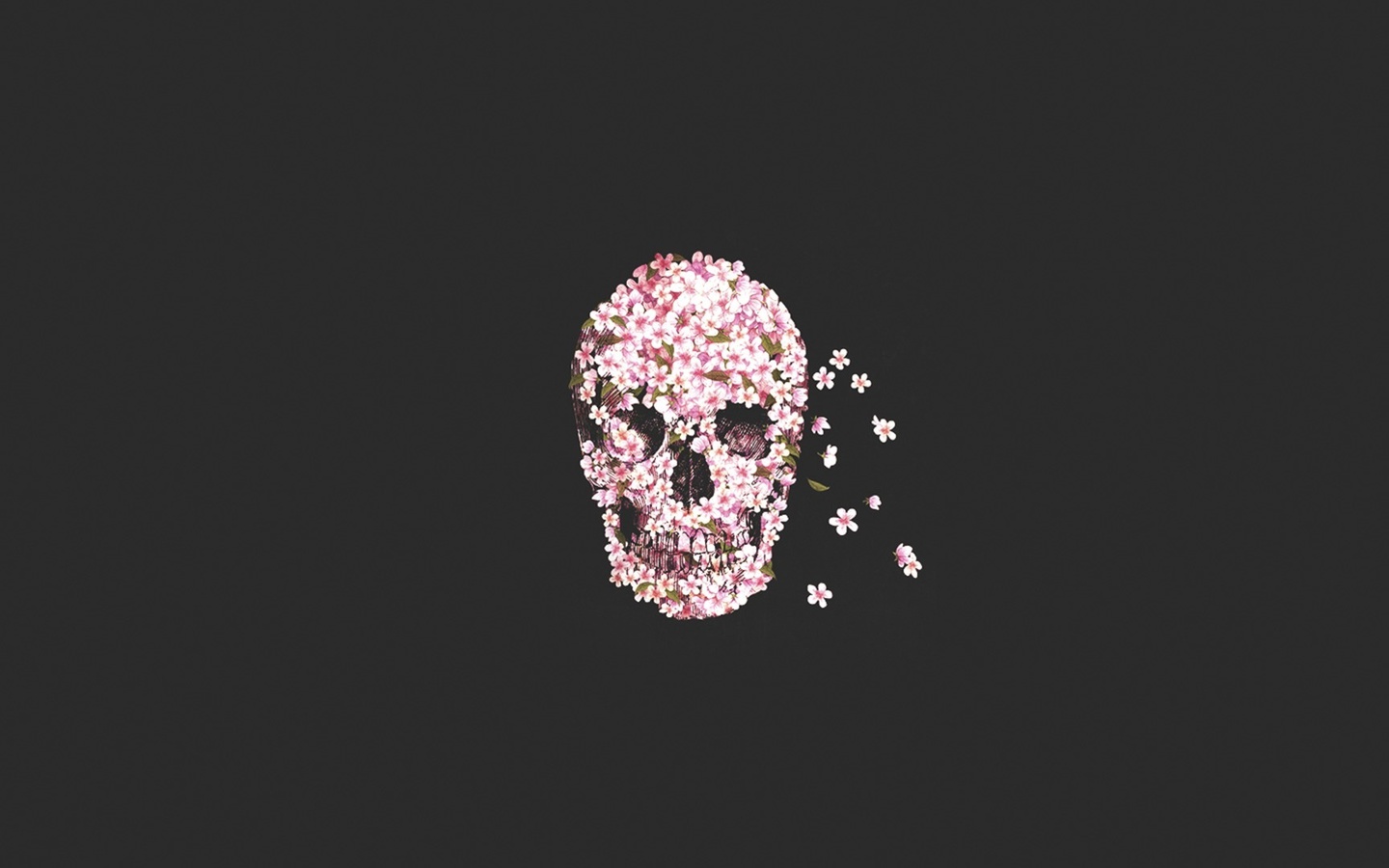 , flower, Skull, 