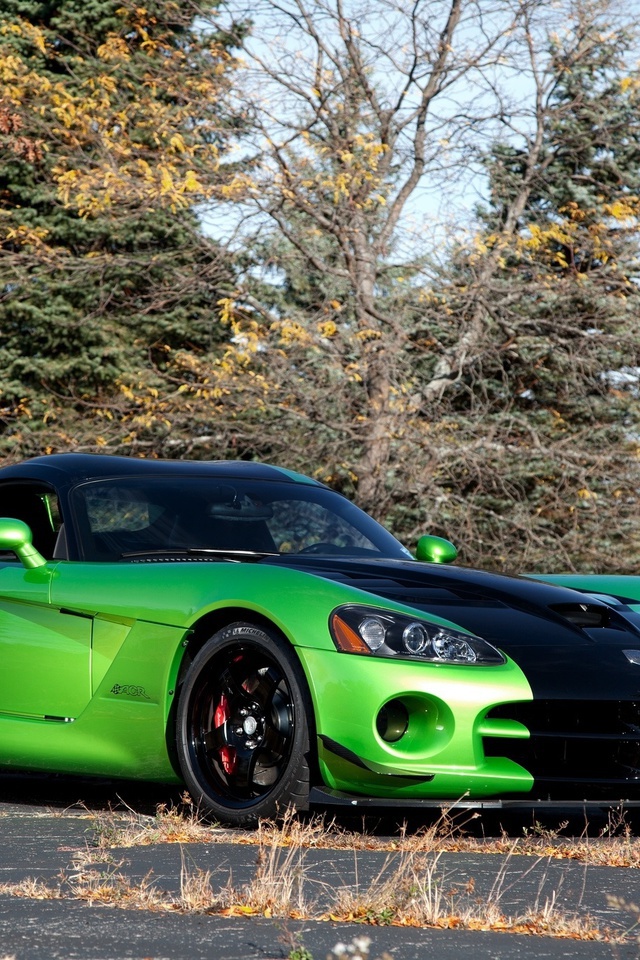 , trees, , acr snakeskin edition, Dodge, green, viper, 