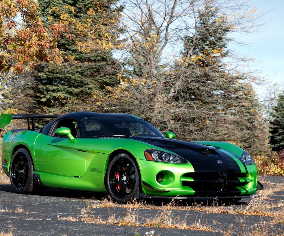 , trees, , acr snakeskin edition, Dodge, green, viper, 