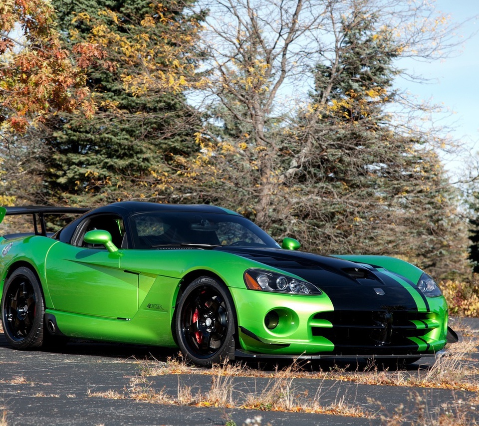 , trees, , acr snakeskin edition, Dodge, green, viper, 