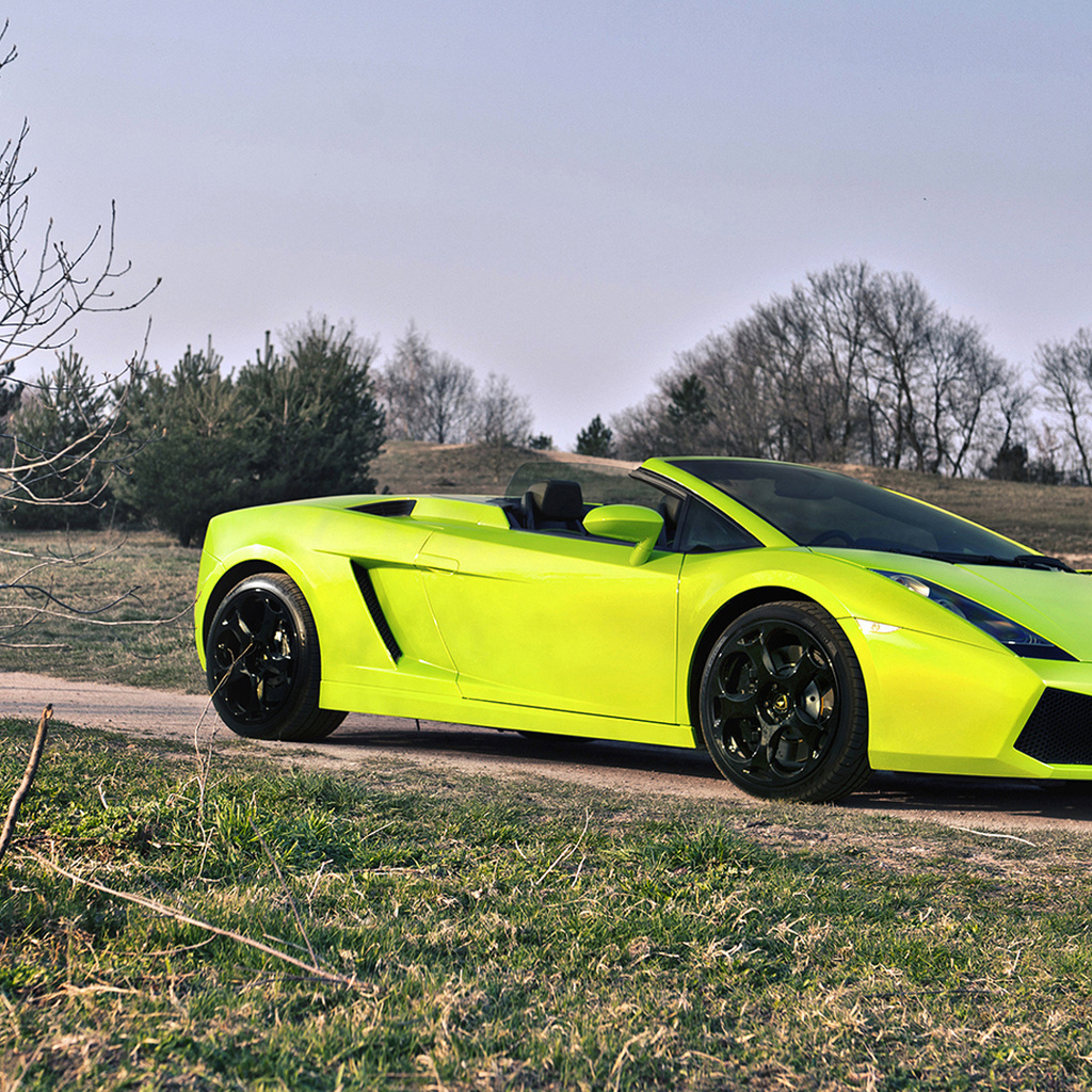 , Lamborghini gallado spyder, , 