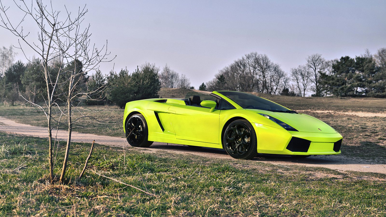 , Lamborghini gallado spyder, , 