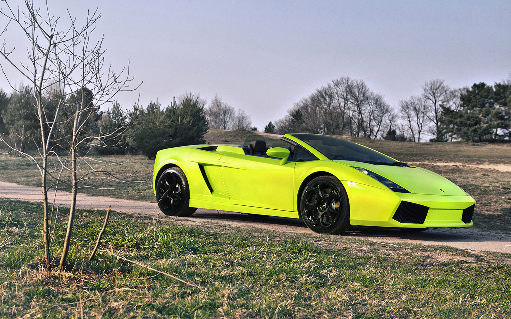 , Lamborghini gallado spyder, , 