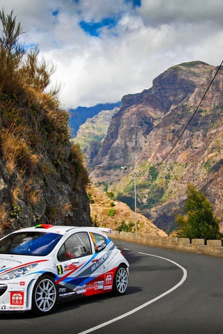 rally, 3, , , 207, , , Peugeot, , , wrc