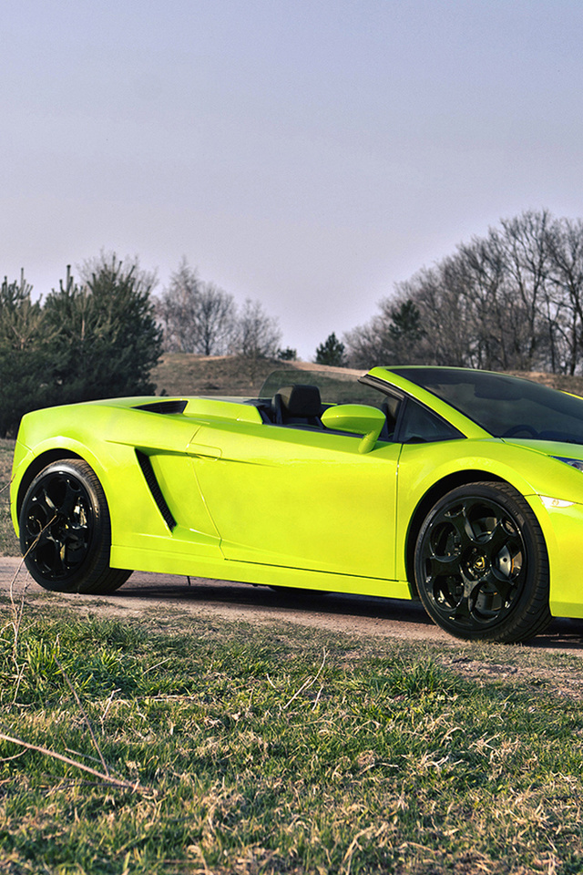 , Lamborghini gallado spyder, , 