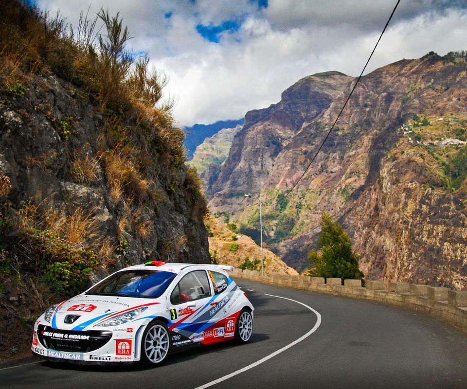 rally, 3, , , 207, , , Peugeot, , , wrc