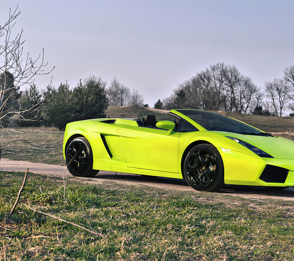 , Lamborghini gallado spyder, , 