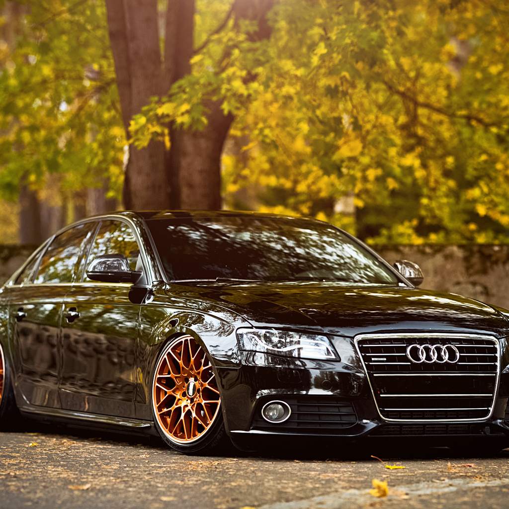 a4, Audi, b8, black, front