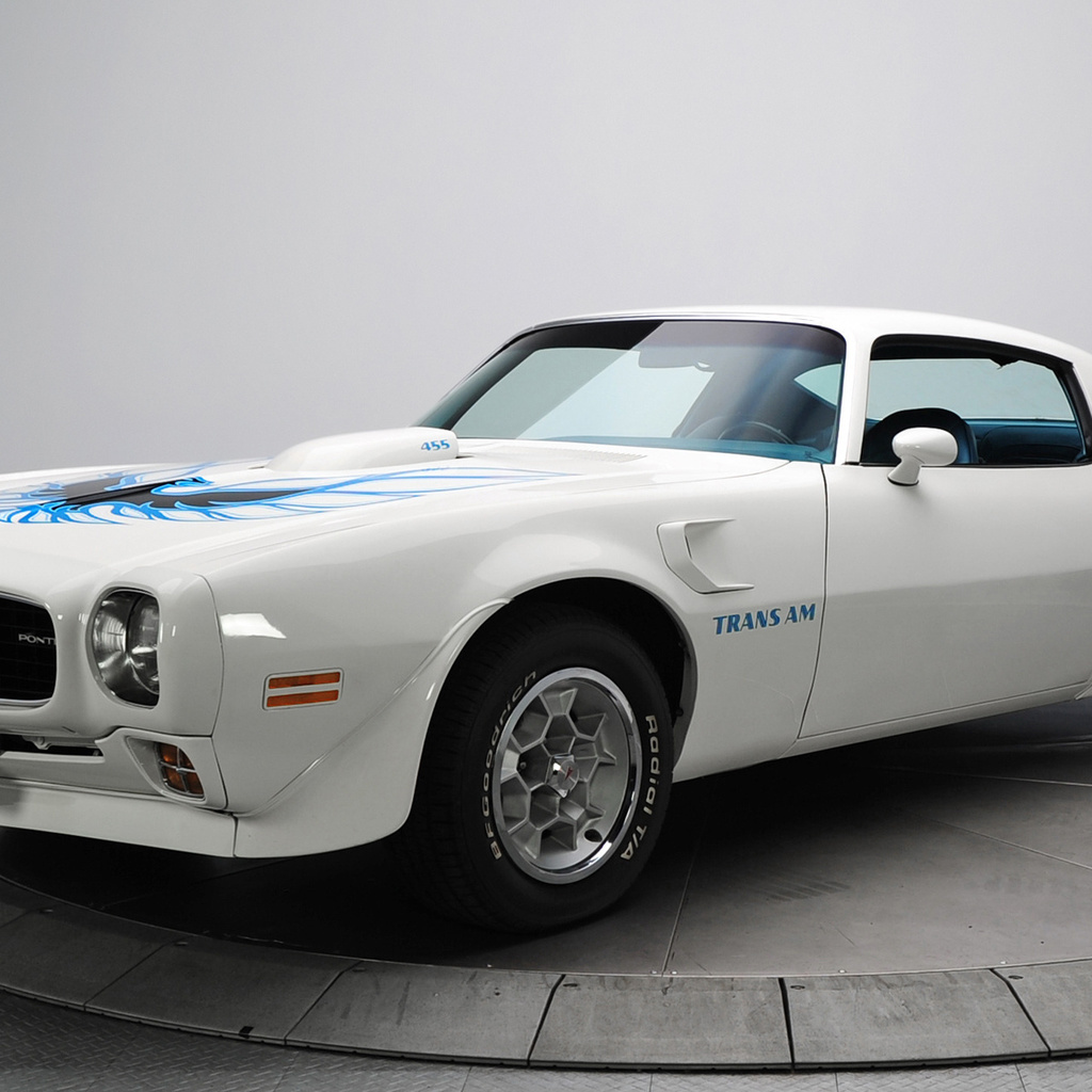 trans am, , firebird, , , 1973, Pontiac