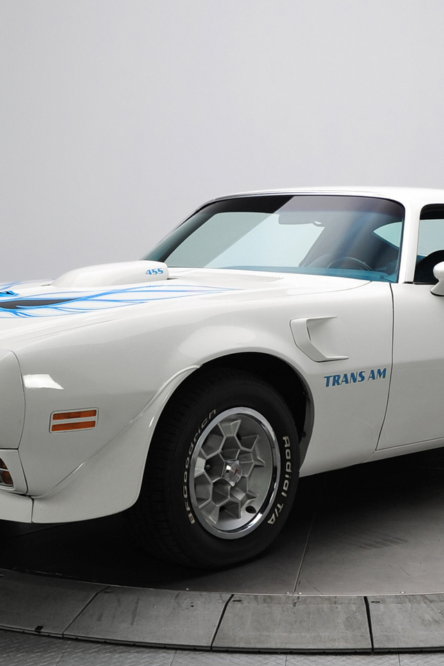 trans am, , firebird, , , 1973, Pontiac