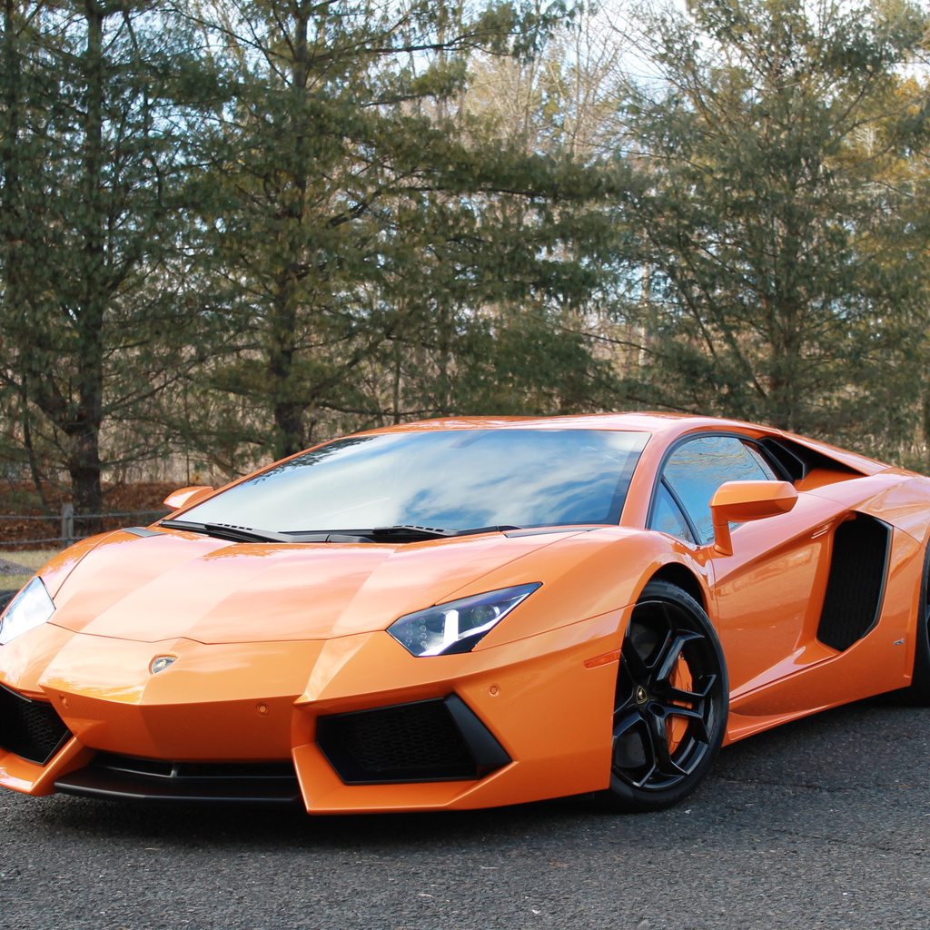 orange, , aventador, , Lamborghini, lp700-4