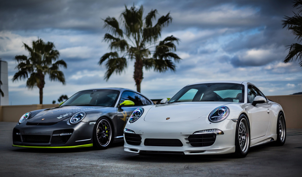 white, silver, sky, front, Porsche, palm, , , 911, , 