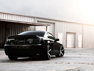 , shelby, , Ford mustang, , , 