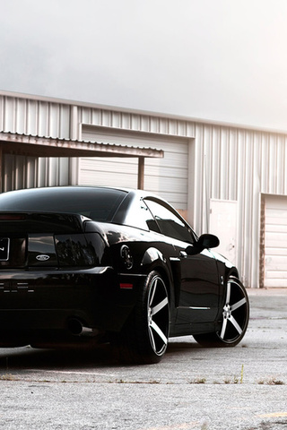 , shelby, , Ford mustang, , , 