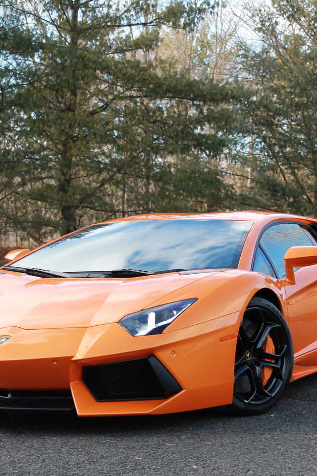 orange, , aventador, , Lamborghini, lp700-4