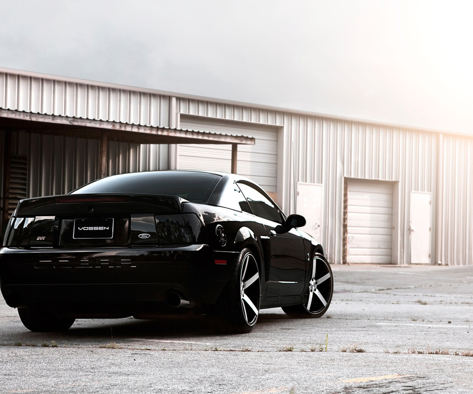 , shelby, , Ford mustang, , , 