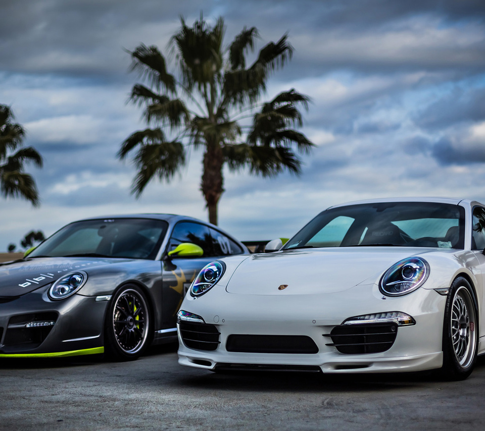white, silver, sky, front, Porsche, palm, , , 911, , 