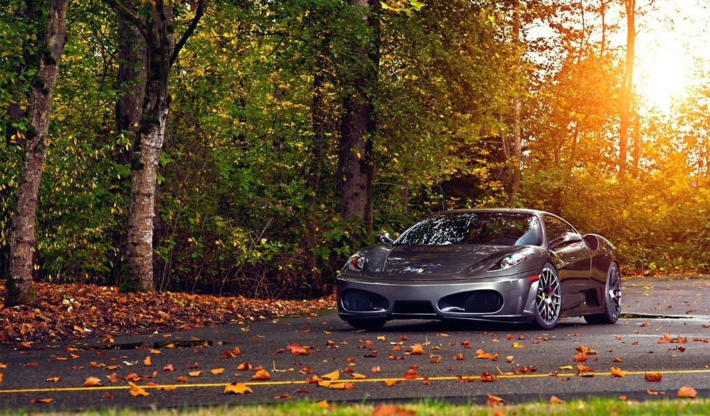 ferrari, 430, scuderia, , , 