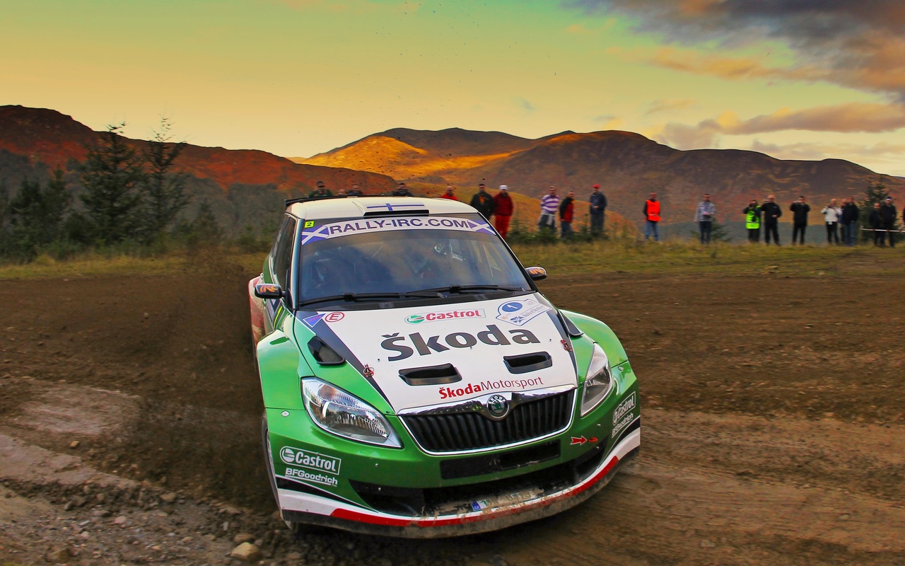 Skoda, , , rally, , , , , fabia