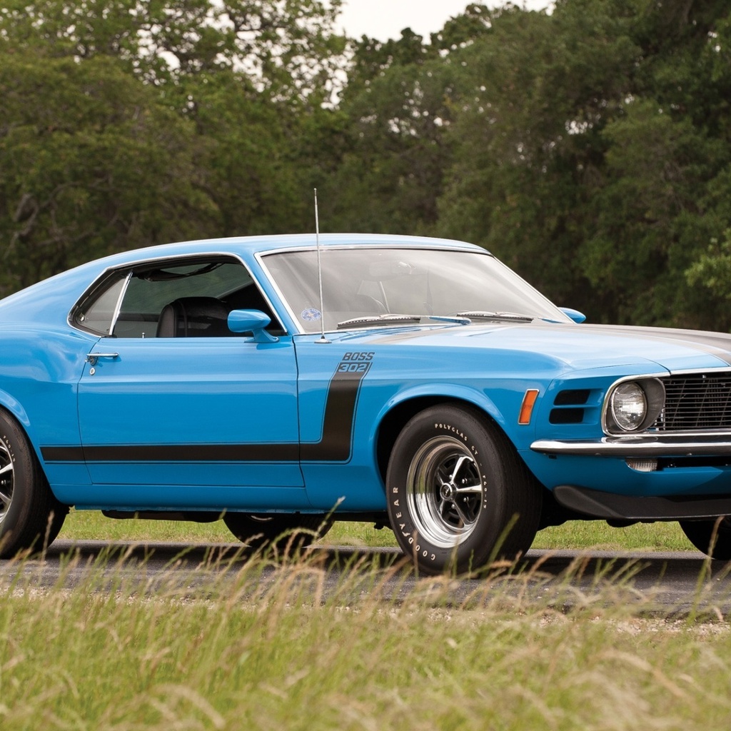 , , 1970, boss 302, , , Ford, mustang, 